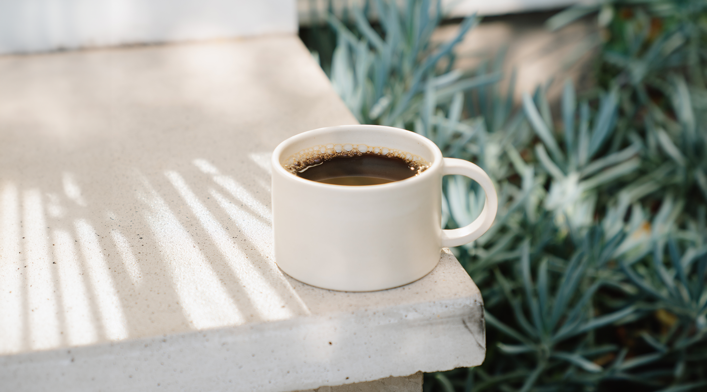 Batch Brew Mug