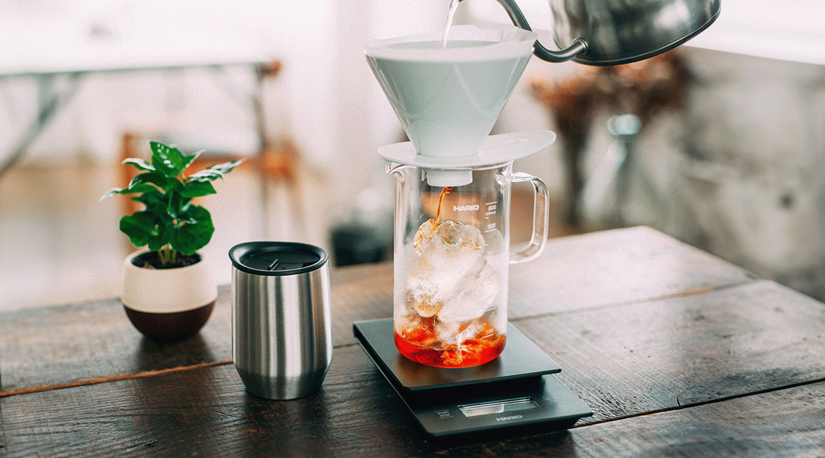 Hario V60 Mugen Dripper